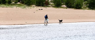 Regn och kyla är årets sommarplåga