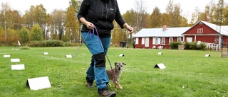 Sofias yrväder Tyra på pallen