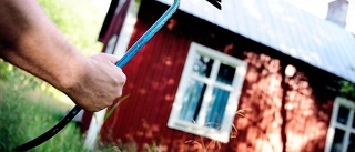 Bodde i skogen och utförde inbrott