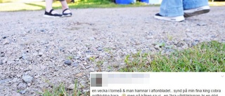 Han erkänner misshandeln av Hagamannen – på Facebook