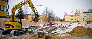 Galleriakungen bygger igen