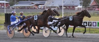 Robert Bergh bjöd på en ny travshow