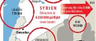 Familjen är kvar i krigets Syrien