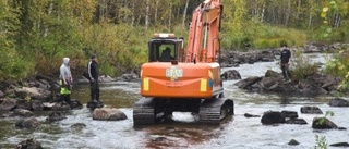 Flarkån - från flottningsled till flott fiskeparadis