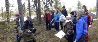 Uppskattad skogsdag för inlandets elever