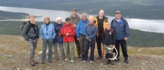 Vandring bland färsk björnspillning och fjällurskog