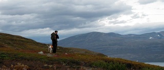 Fjälljaktsfrågan nära avgörande