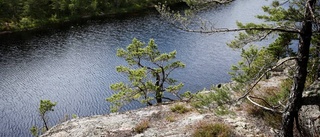 Hennes sagor ska väcka barnens läslust