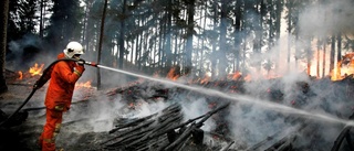 Brandmän rasar: Cheferna hotar och härskar