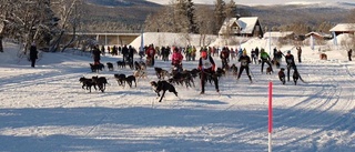 Hunden drog Hanna Brisander i stafetten