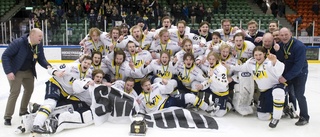 HV 71 vann slaget om Småland