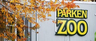 Aktivister demonstrerade vid zoo-öppning