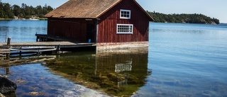 Vill göra Horsvik till naturreservat – miljöexperten gör tummen upp