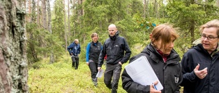 Holmen tog politiker på en skogstur