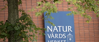 Naturvårdsverkets it-system fortfarande nere