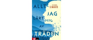 Allt jag lärt mig av träden av Suzanne Simard