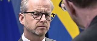 Damberg: Får inte driva upp inflationen än mer