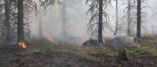 Brand i Ålsunda skog – elva enheter på platsen