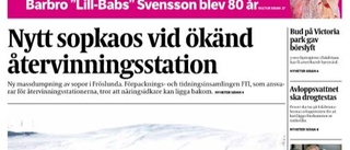 Problem med e-tidningen löst