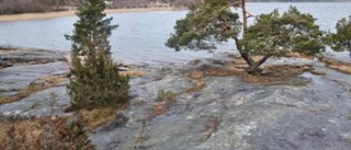 Naturcamping för en levande bygd