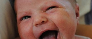 Lilla Signe blev NT:s charmtroll