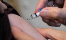 Gulsotsvaccin dröjer i länet