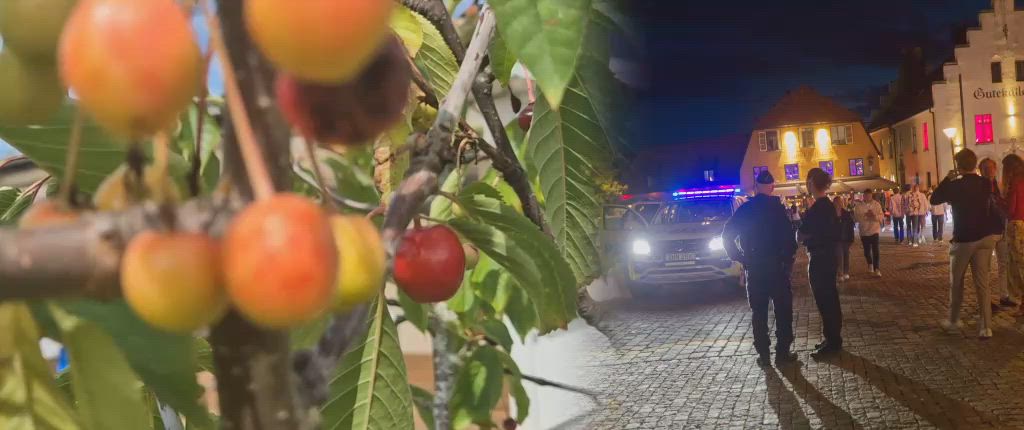 Kamp mot naturen-puff