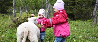 Här får djuren ett varmt välkomnande till parken