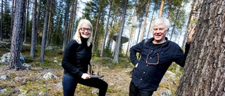 Nytt prestigefullt pris till Treehotel