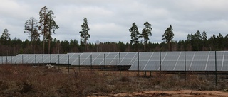 Solcellspark närmar sig invigning: "Irriterad på förseningar" • Solpaneler på plats – men ingen el kan levereras