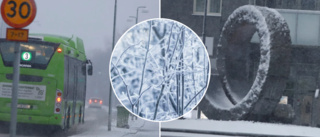 Nu kommer vintern – och första snön: ✓"Stora snömängder" ✓Lägre temperaturer ✓Prognosen framåt