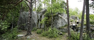 Igenväxningen är ett stort naturvårdsproblem