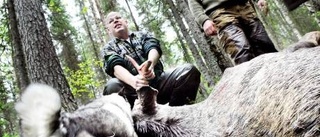 Pangstart på älgjakten för rutinerat jaktlag