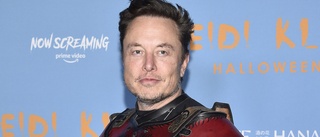 Musk ger amnesti sedan "folket gett sin röst"