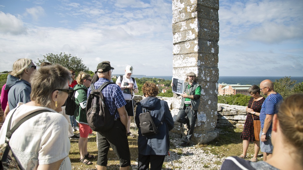 "Ämnet var fritt och vi tog upp frågan om turistskatt på Gotland."