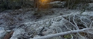 Läsarbilden: Promenad upp på Falkberget