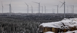 Otänkbart med vindkraftpark i Burträsk