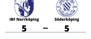 Delad pott när IBF Norrköping tog emot Söderköping