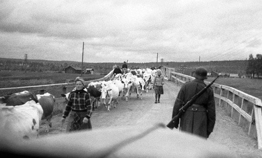 Flyktingar mellan Sodankylä och Rovaniemi 1944. Rovaniemi brändes ner till grunden av de retirerande tyskarna på order av Hitler. Dessförinnan evakuerades civilbefolkningen. Ungdomar och barn gick till Sverige tillsammans med boskapen.