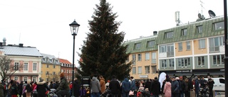 Hellre äkta gran på torget