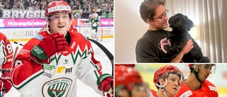 ESK-fostrade Filip Hasa gör succé i Frölunda: "Haft medstuds"