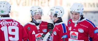 Veteranen kan lämna Kalix – för HT Bandy