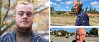 Politikerna reagerar kraftigt på avslöjandet om Fagerstedt (SD) • Kräver hans avgång: "Någon vilde vill vi absolut inte ha"