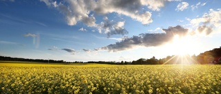 Goda solchanser i Norrbotten