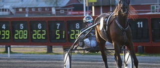 Trippel för Bodenstall