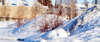 Delad mening om snödumpning