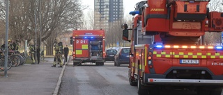 Två katter hittades döda efter lägenhetsbrand