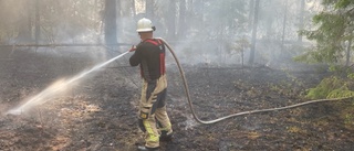 Skogsbrandssäsongen är här – Så stor är brandrisken