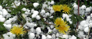 Hagel i Gistad