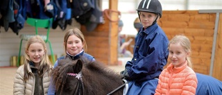 Ridlektioner med världsstjärna